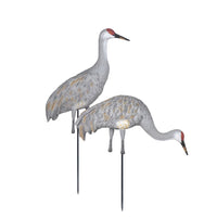 Greenhead Gear Full Body Sandhill Crane